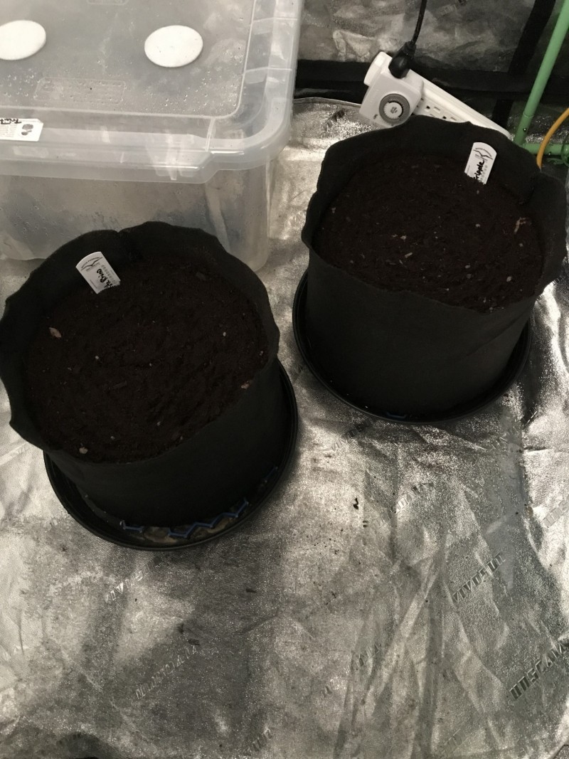 780E68C4-C015-4A51-ABAF-14FE91ECCB97