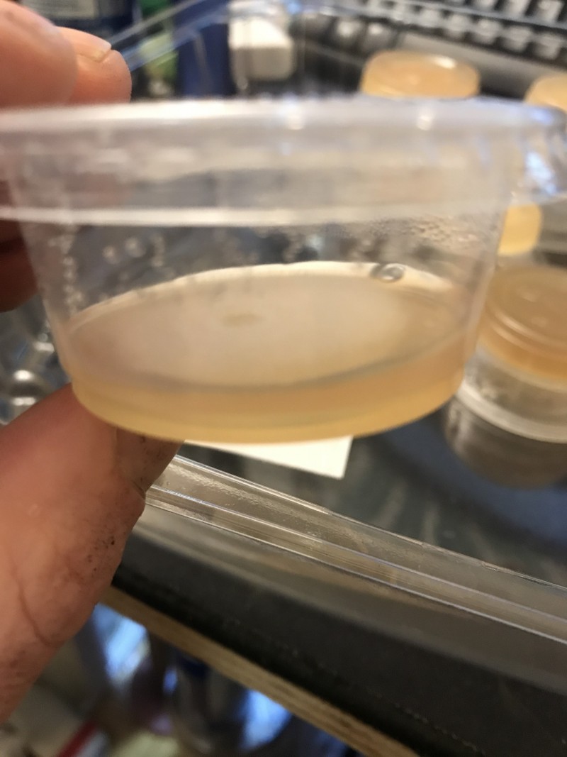 B2F64A5C-A014-409B-B6E3-28315B420715