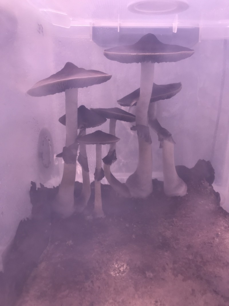 BA93E61C-AD1E-4199-ACAD-F4711F53C960