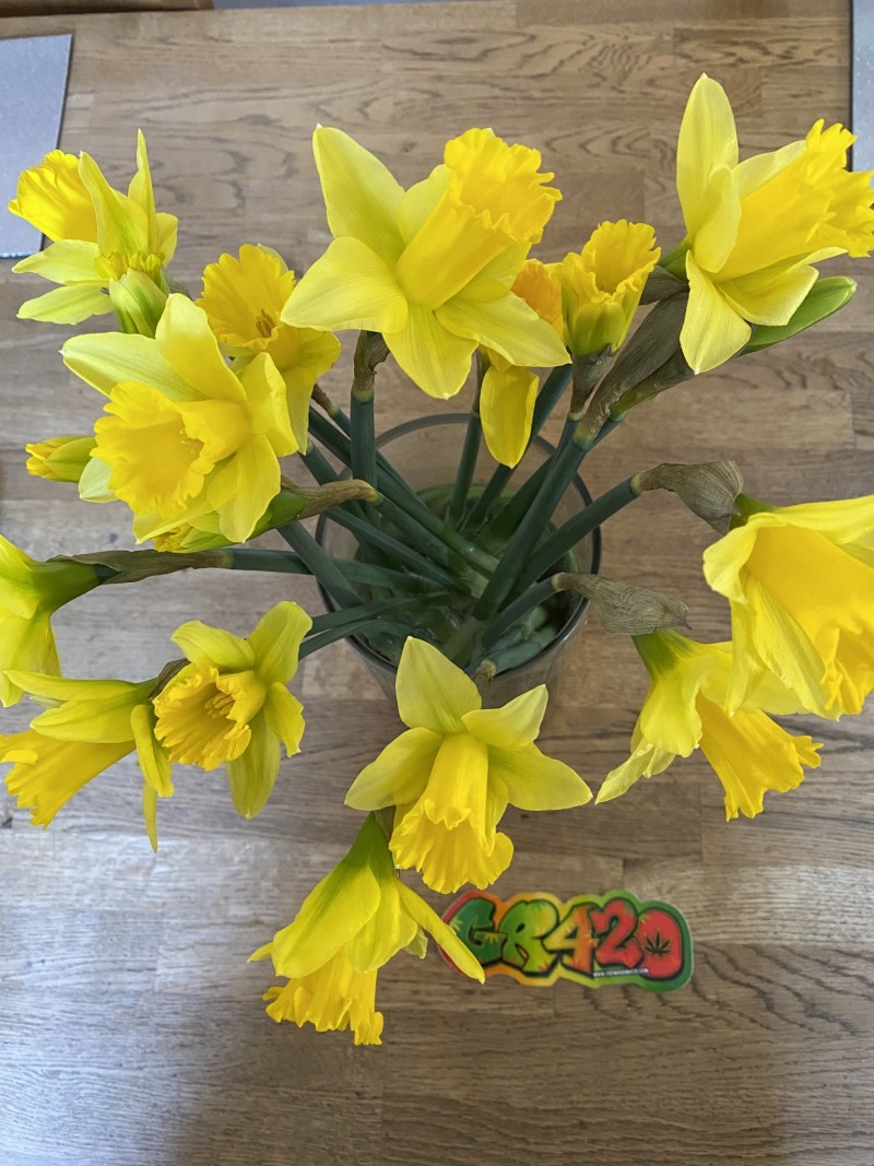 C4F606D6-B72C-4402-8DD9-2C6A0FA519A7