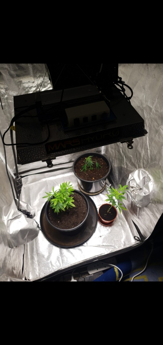 Screenshot_20220225-125347_Gallery