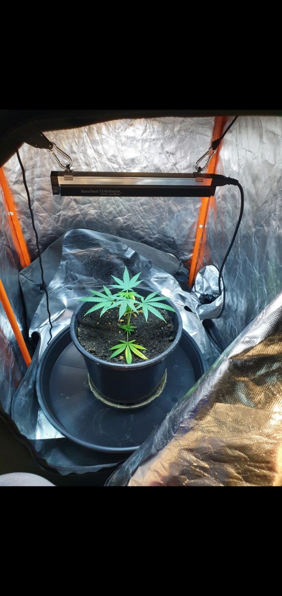 Screenshot_20220225-125356_Gallery