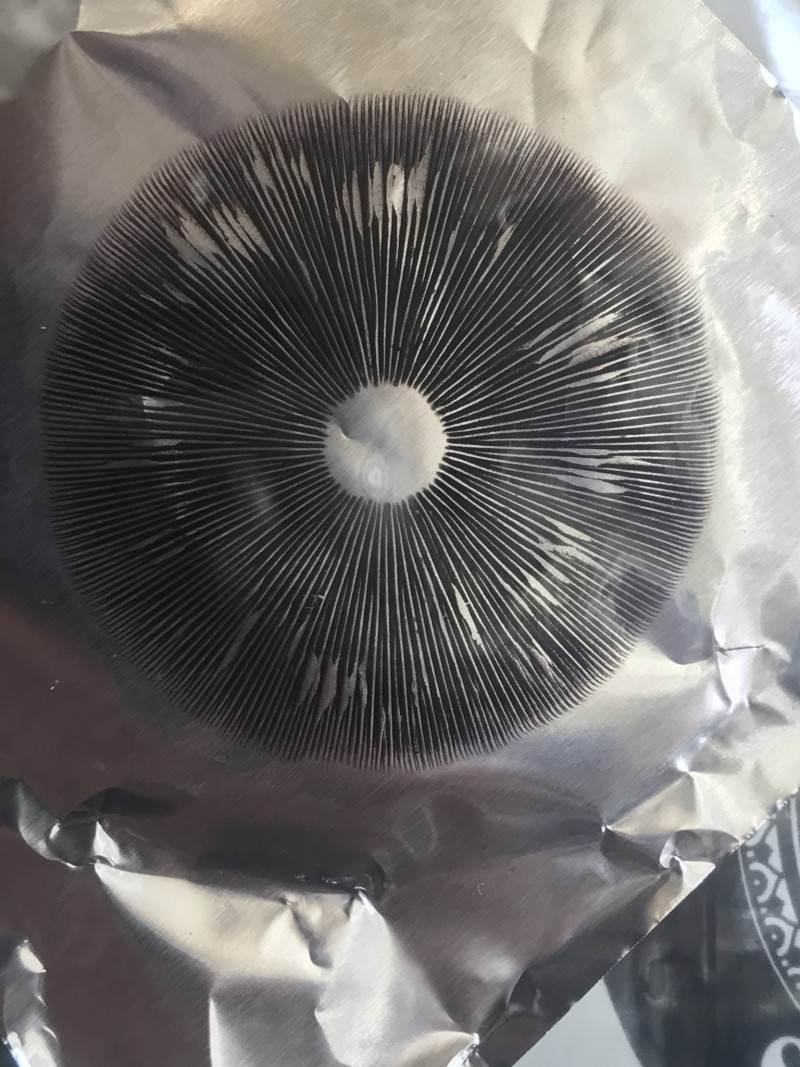 B151FB8C-326A-4109-9357-8CED575581EC