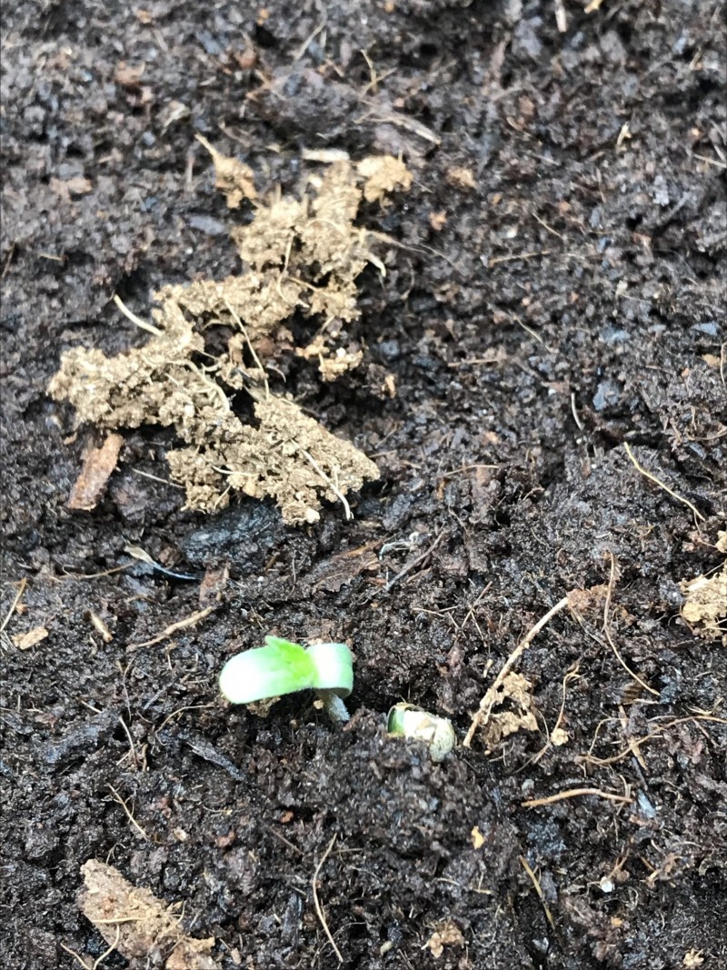 F2DD08A3-3257-43D7-A0E7-73EB22F0542C