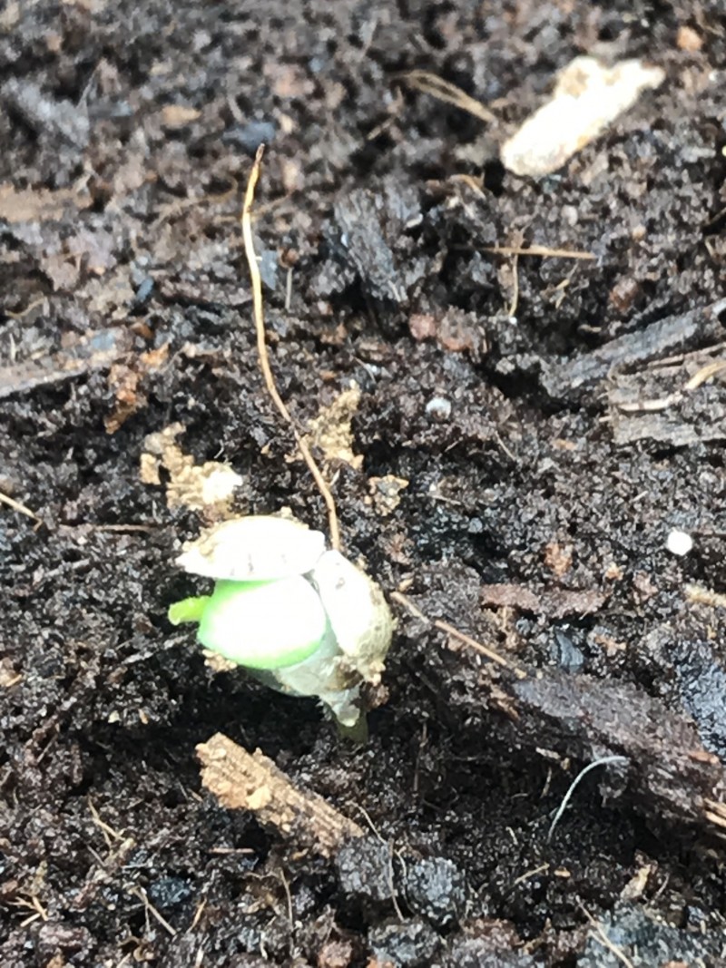 2EDAA63D-DEDA-4239-A425-076848D952C6