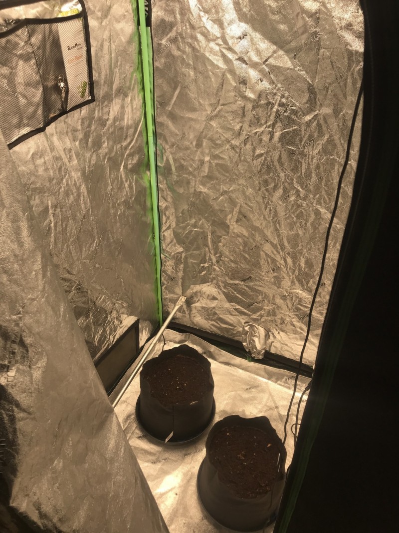 802DCD1D-71EB-4ACD-BF7B-C8759B90B79F