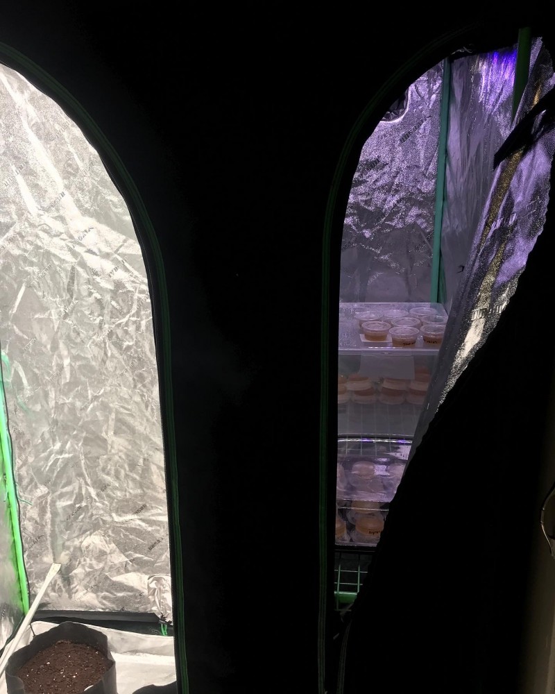 E4C2E51D-8EE9-4E86-A3C1-5D8C1A6FDD4E