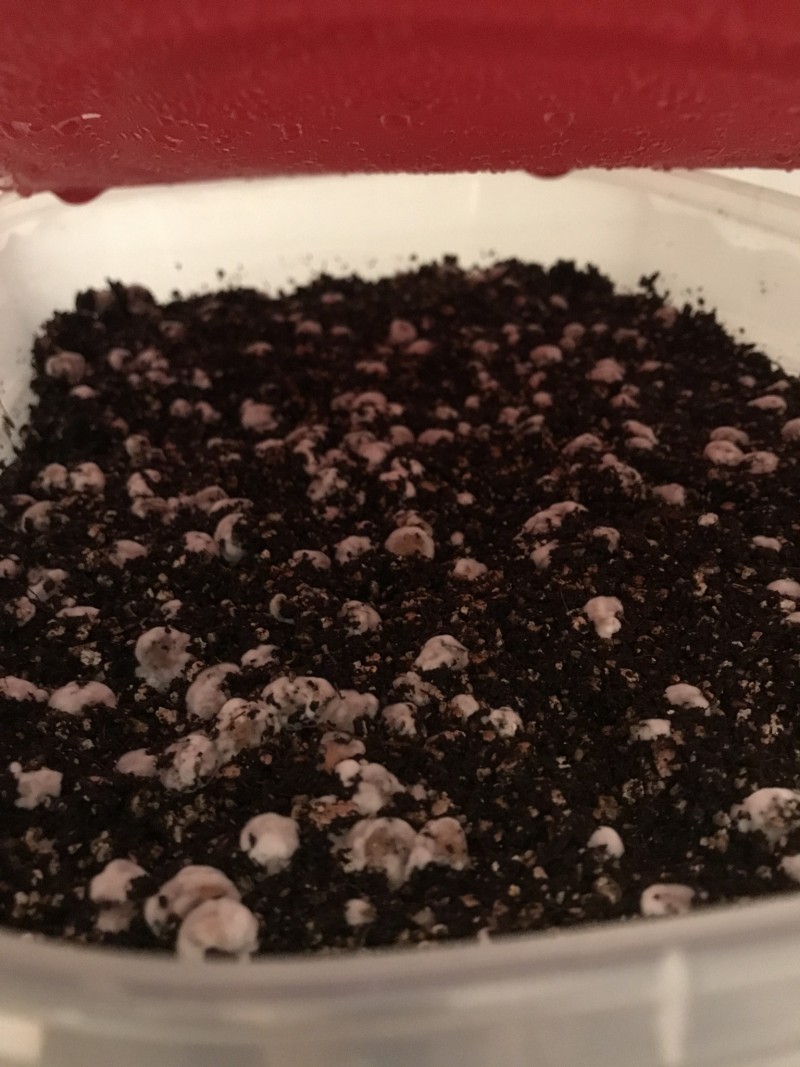 3B3FA251-6019-4BC7-8B03-D53155D8A185