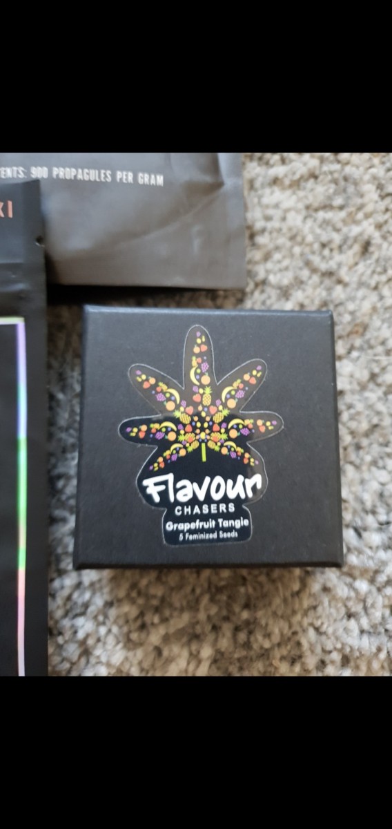 Screenshot_20220226-105417_Gallery