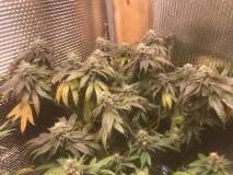 C6849FE2-E4F6-4EA3-8CB5-8A12F7757F03