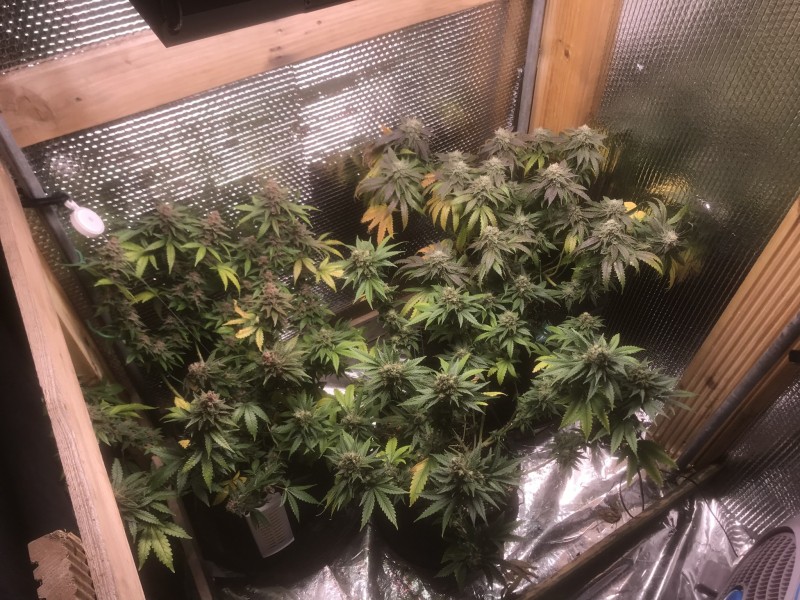 7077CADD-DC1D-45C8-BA3F-9236B931F002