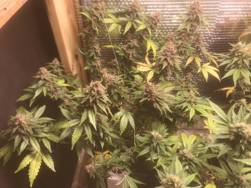 DF85684D-288B-47FB-AED7-E8BA212AEA1D