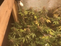 8EFE2737-E422-49C6-9A9F-3176CBD1E32C