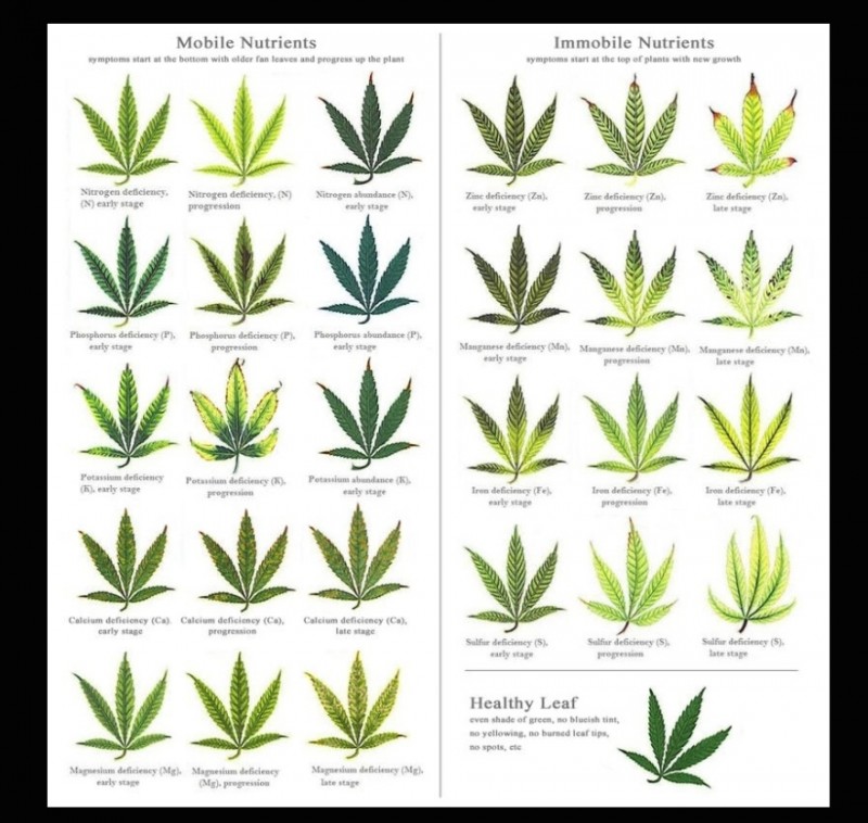 Screenshot_20220301-084127_Samsung Notes