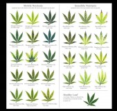 Screenshot_20220301-084127_Samsung Notes