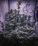 41912071-7D7E-49B9-853C-C3546D95EDB9