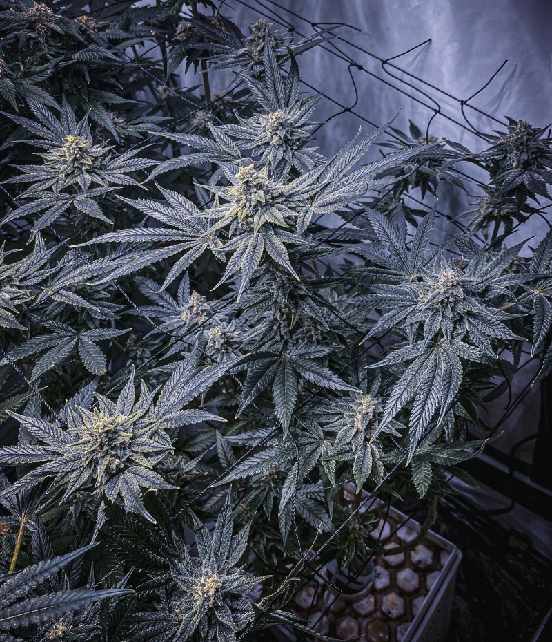 39E94BC1-7067-419A-9D74-24D3CE3F1F17