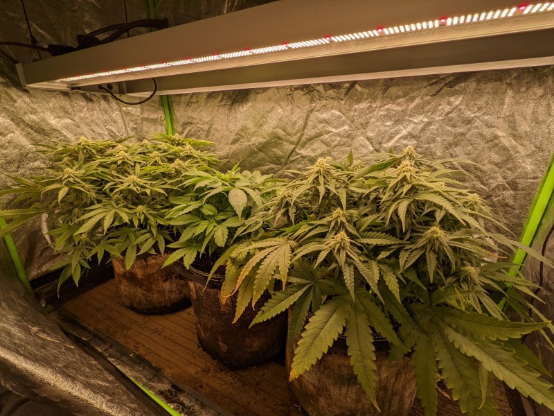 PXL_20220301_203857148