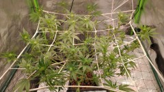 IMG_20220302_112930606