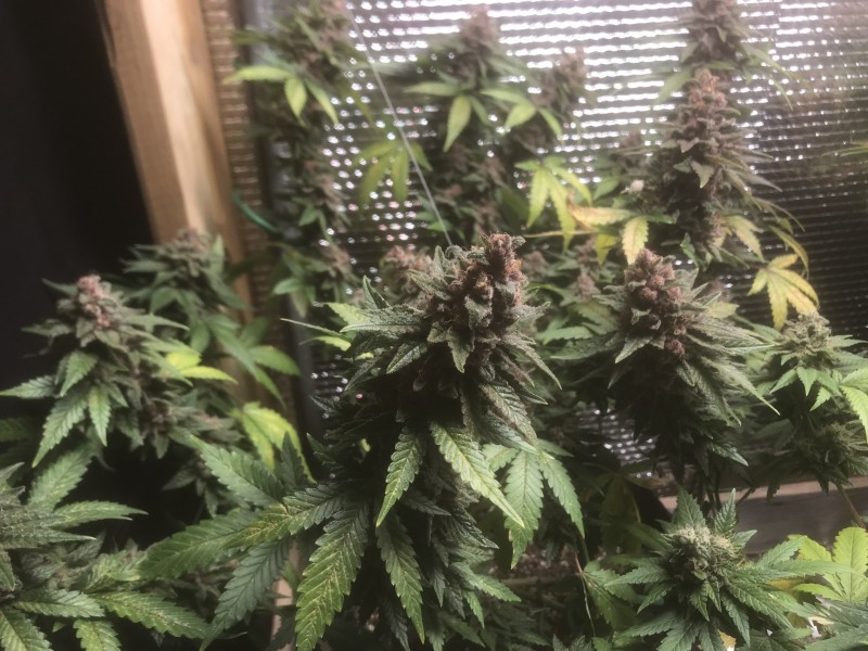 22FD3DE7-9E67-433A-9017-1AC7695AB6DE