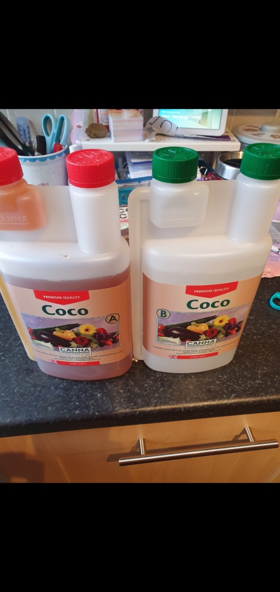 Screenshot_20220302-172557_Gallery