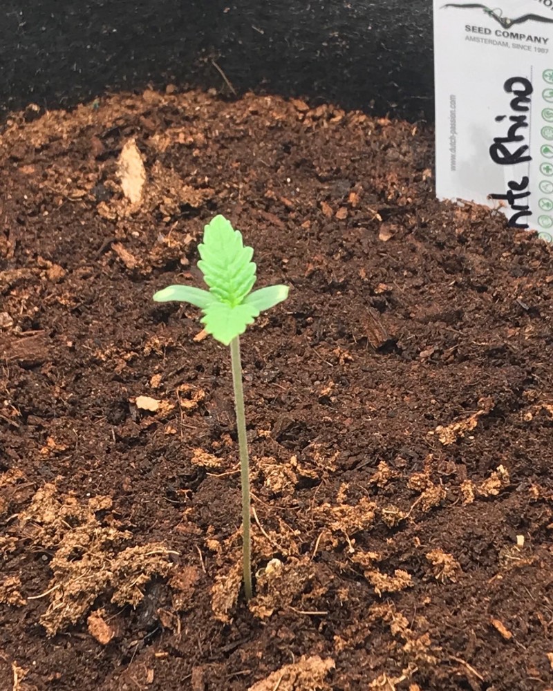 C7A52D43-BD64-4028-AF0F-D63E7B6A0CB6