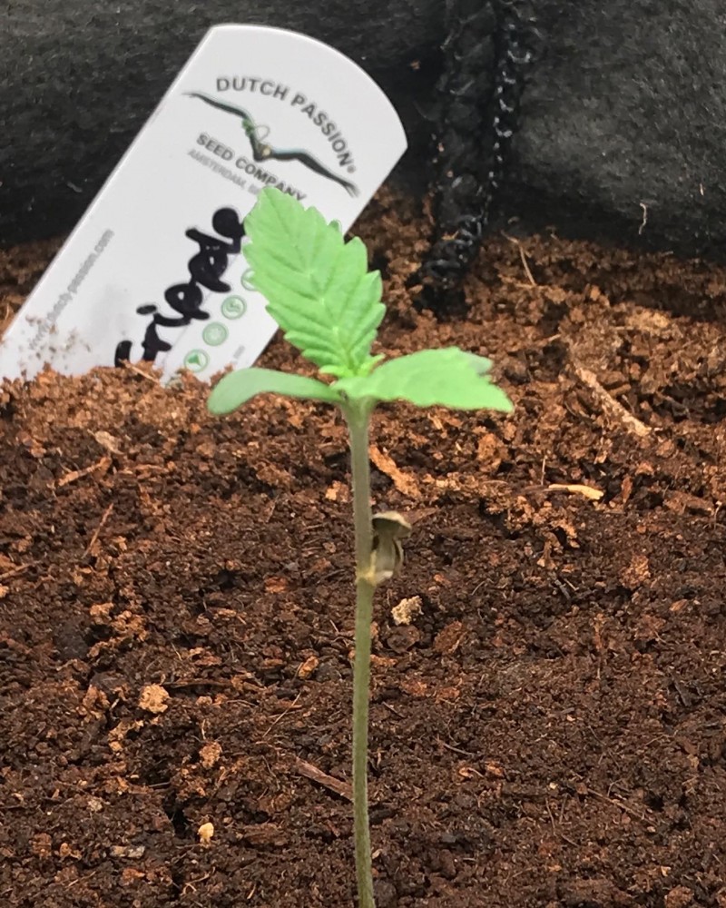 7284F104-80A6-4951-99A1-C8E950937EEC