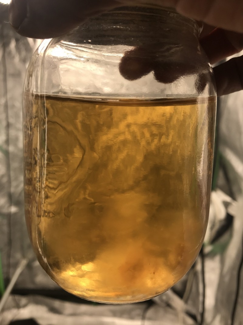 DD3CC96A-04B7-487F-B58F-210CC5C37BFA