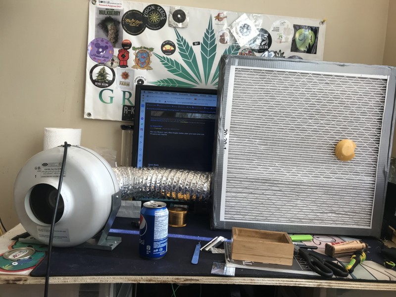 538ECF52-530A-4E6B-9F4B-CF830F5DB6BA