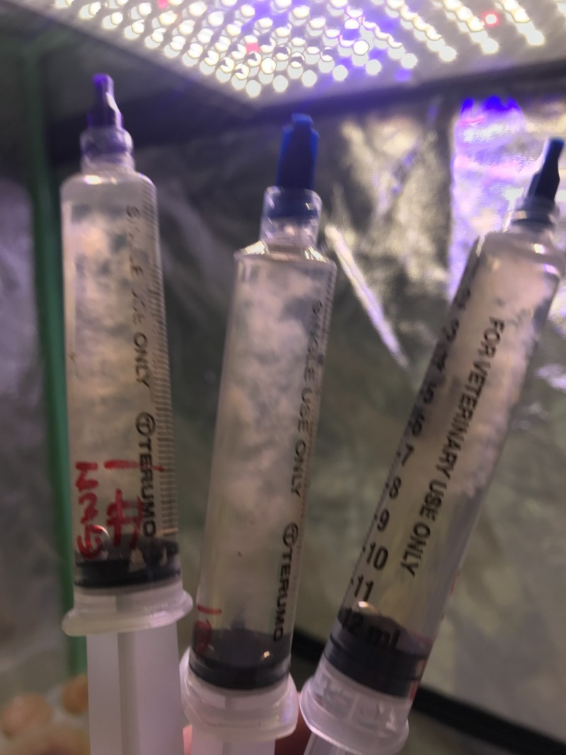 FBC0F56C-8A3E-4321-AB4D-8133207FDDD8