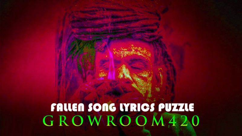 mn fallen song lyrics puzzle mar FRONT