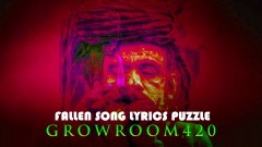 mn fallen song lyrics puzzle mar FRONT