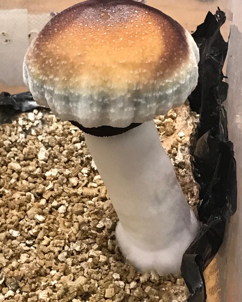 0DA8C761-4EEA-49B2-9D3E-8749F049F589