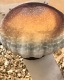 80B19D15-DC65-486E-84F6-61E19B752BFB