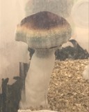 277B083A-68FF-414D-A1F9-690BCC7D092B