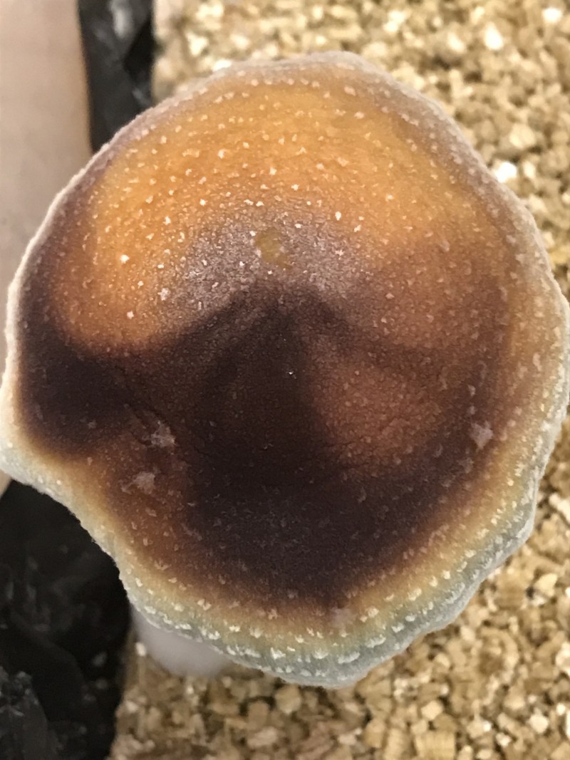 FEBFC564-684D-4061-8107-BBDAB15C1AFB