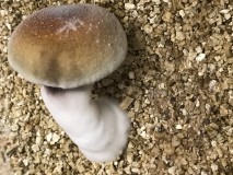 489EBD30-3CD7-46DB-A301-164874406013