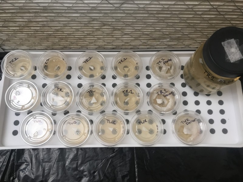 7FD6C74D-D78C-4E45-B66C-6D9F7AA9045C