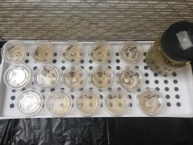 7FD6C74D-D78C-4E45-B66C-6D9F7AA9045C