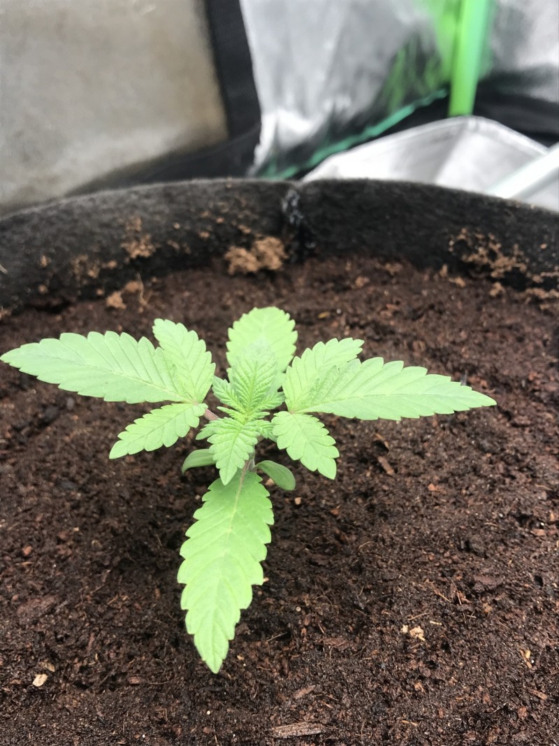 201F89C3-F5BD-4DB5-B868-E0F8093FA569