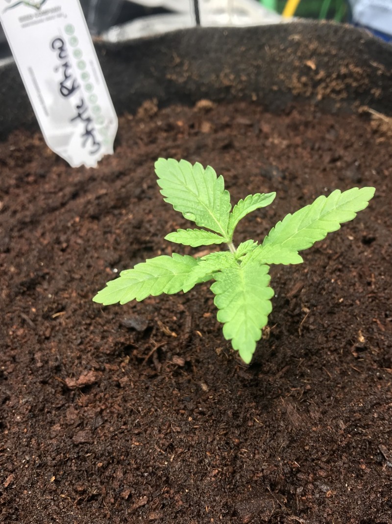 5F1D857D-E3DF-4F35-AC61-D6C79D409CC7