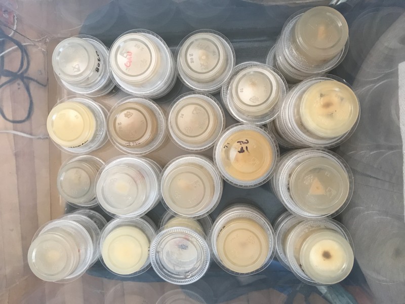 D20F2AD5-BE48-46CC-8D30-DE4F1C42C608