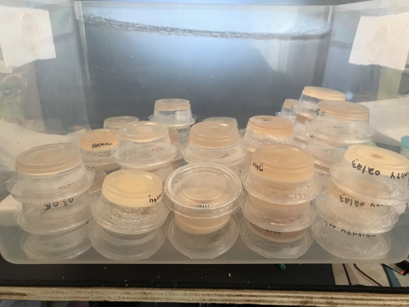 F9A3A7B3-220E-400E-92DC-AF5A7217870A