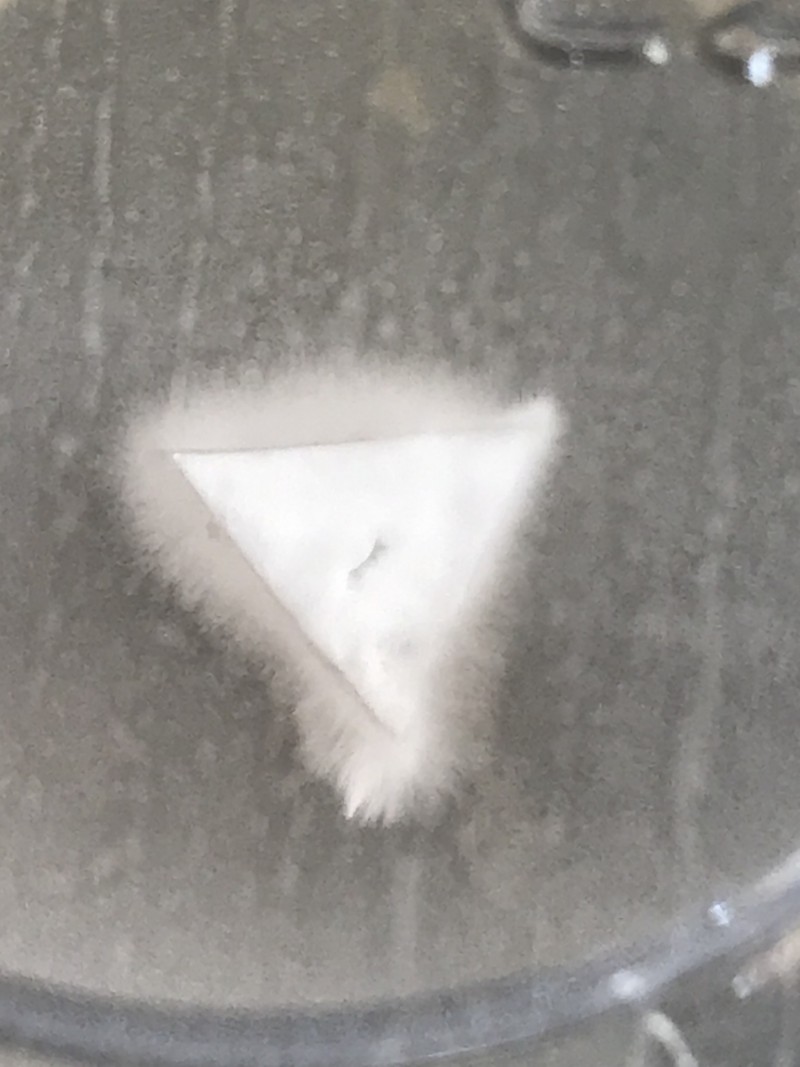 912733CC-543B-4E5C-8017-AC8978B036E4