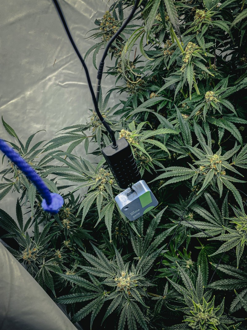 09E73BD5-0464-495D-8E0B-4382F6992B4B