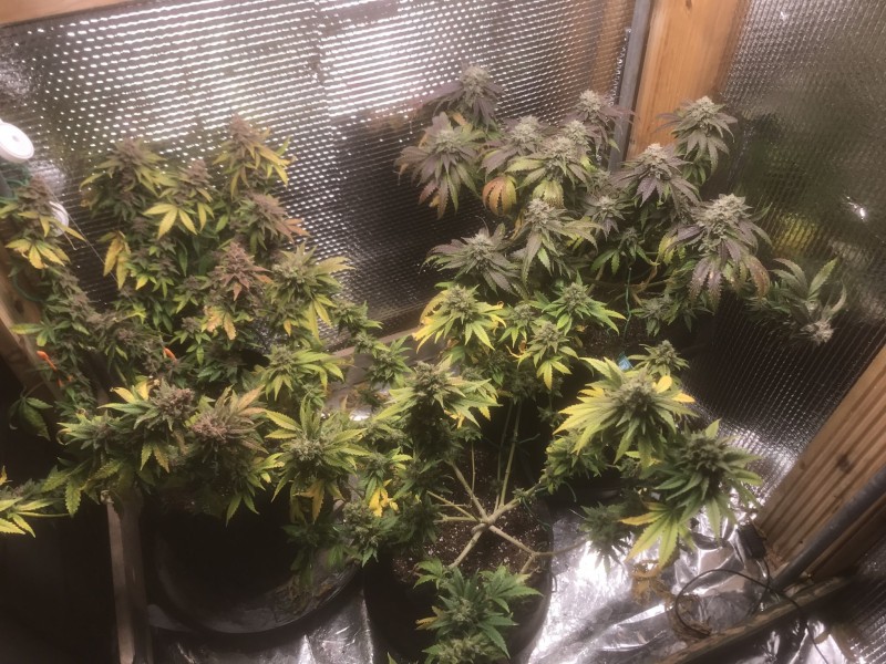 83BBE29C-B6AE-4373-97B1-4CE300877B26