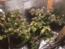 83BBE29C-B6AE-4373-97B1-4CE300877B26