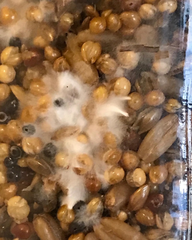 EE165493-8183-446C-819B-54A243FC4AD8