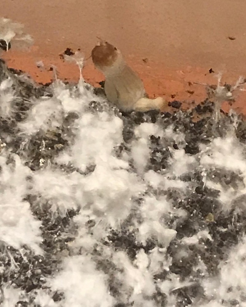 870ACE07-1C1A-472D-B989-8C38BCA7883D