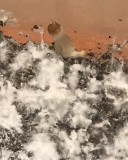 870ACE07-1C1A-472D-B989-8C38BCA7883D